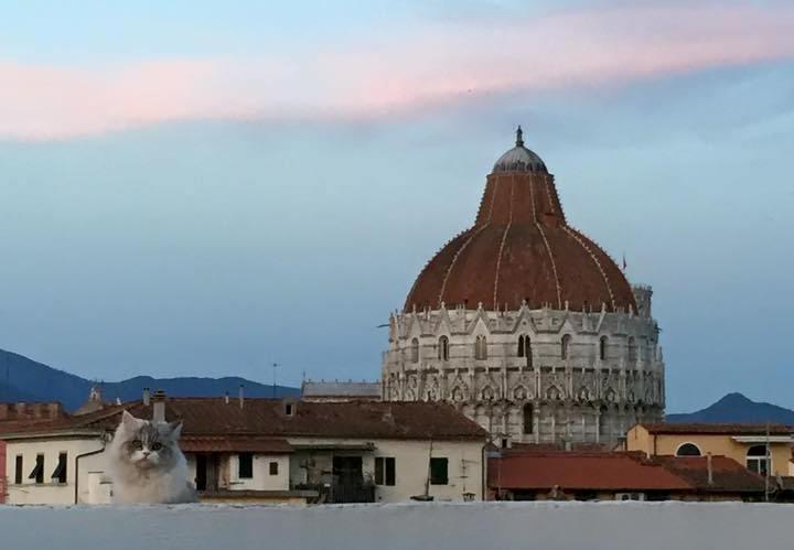 Alla Torre Con Vista Pisa Ruang foto